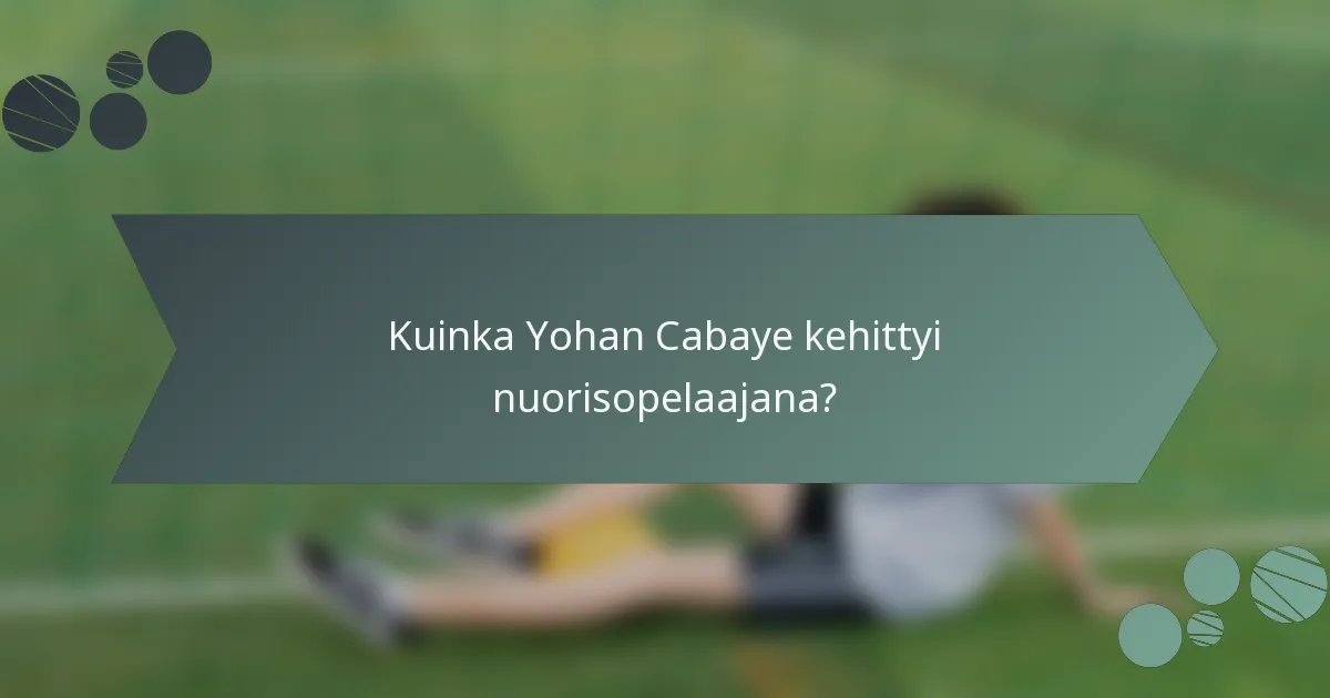 Kuinka Yohan Cabaye kehittyi nuorisopelaajana?